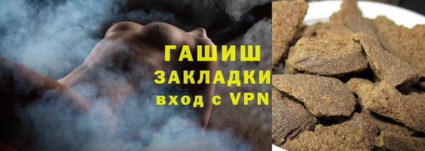 хмурый Магас