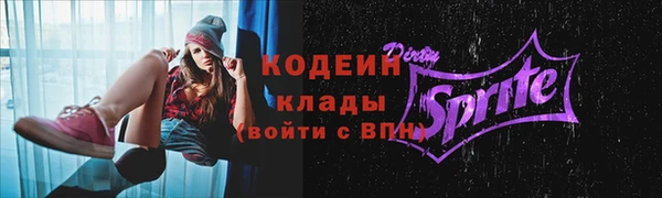 хмурый Магас