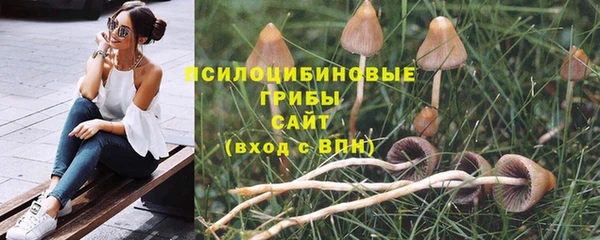 хмурый Магас