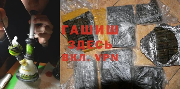 хмурый Магас